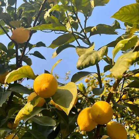 Casa Aprea * Sant'Agata sui due Golfi